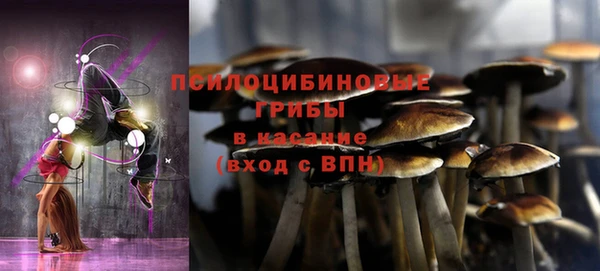 индика Вязьма