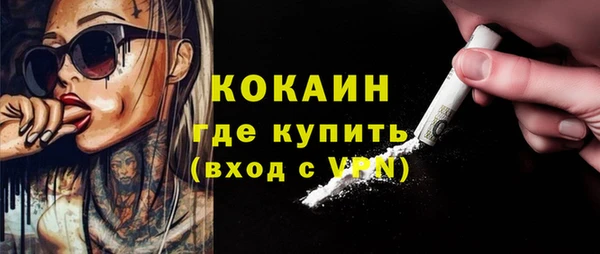 индика Вязьма