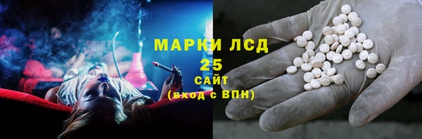 индика Вязьма
