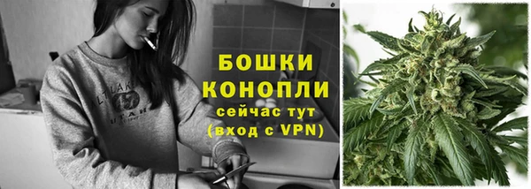 сатива Горнозаводск
