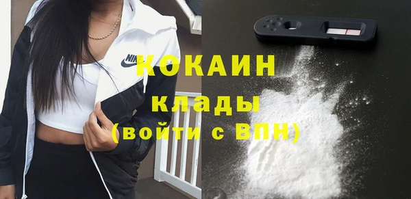 индика Вязьма