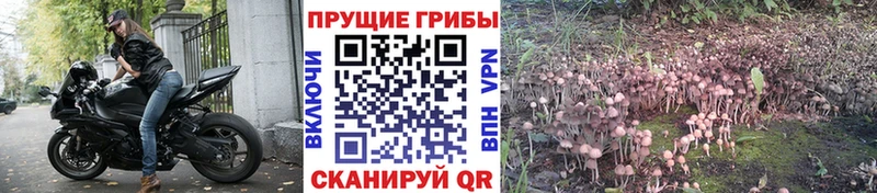 Псилоцибиновые грибы прущие грибы  Купить закладки  Мостовской 